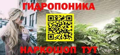 СК Пушкино