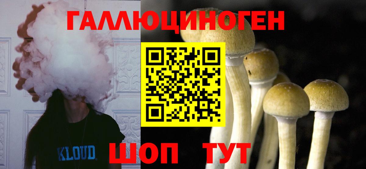 дарнет шоп  Псилоцибиновые грибы прущие грибы  Вход с VPN  Обь 