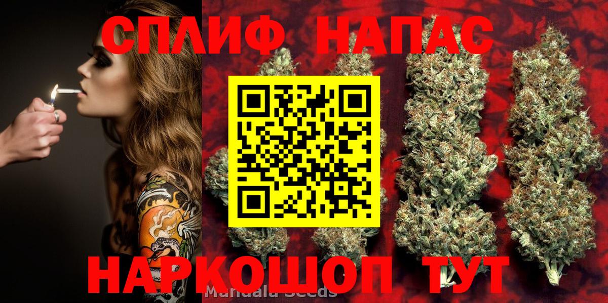 Обь  Канабис тримм  Вход с VPN  Каннабис тримм  Бошки марихуана планчик 